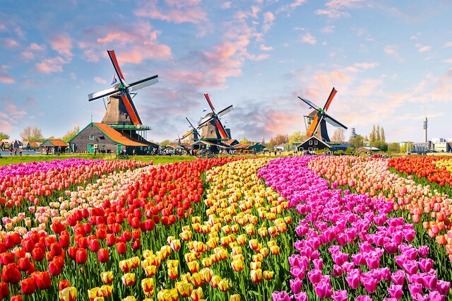 Niederlande