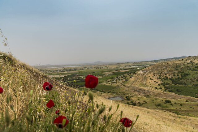 Arabische Republik Syrien