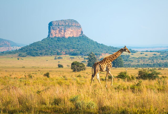 Südafrika